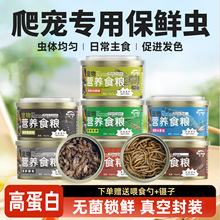 爬宠保鲜虫蟋蟀杜比亚大麦面包虫高蛋白乌龟鸟仓鼠龙猫饲料保鲜虫