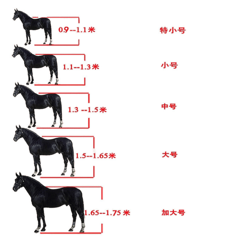 全套口马嚼子马具龙头嚼子纯手工骑马衔铁勒可调用品缰绳牵笼头马|undefined