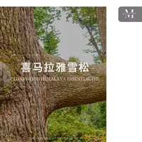 Himarwood Himalayan, индийский самозанятый район производства AG импортирует эфирное масло сырья