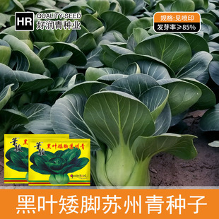 �S�����l���~�K����N�Ӱ��_�ڴ��^С��˷N���Ͳ��ļ������ﶬ��