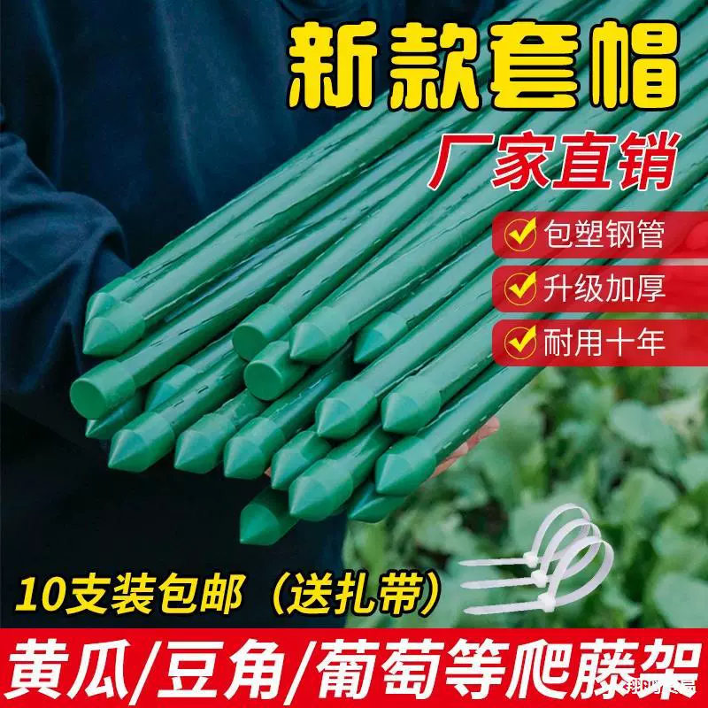 Огурец бобы восхождение на ротанговую подставку для лозы