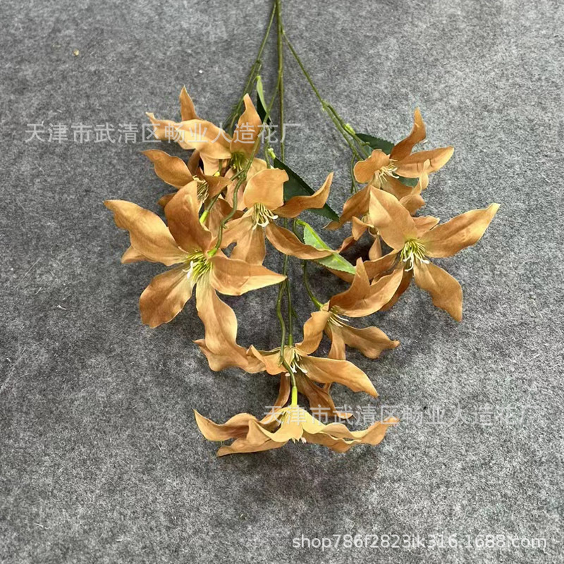 12 갈랜드 릴리 카페