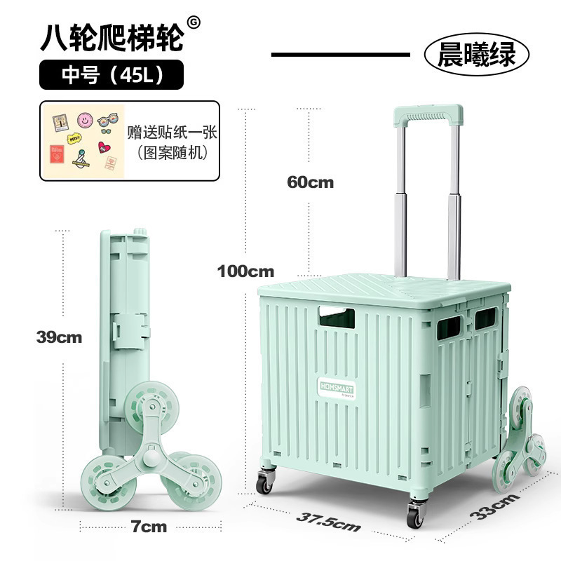 녹색 덮개가 있는 사다리 45L