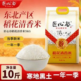 大米