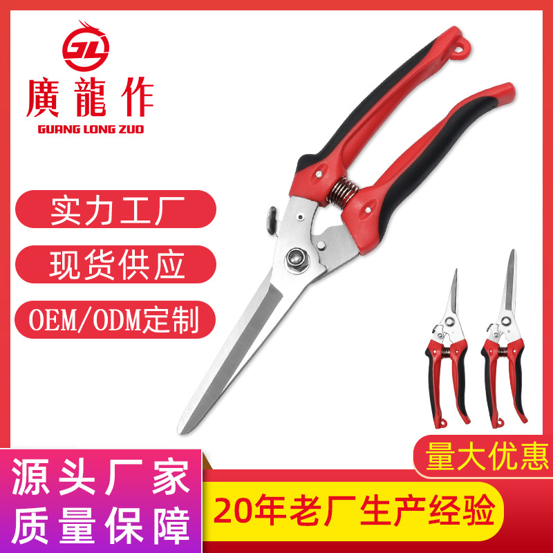 园林园艺修枝工具 大号小号直头园艺修枝剪 蔬果采摘摘果疏果修枝