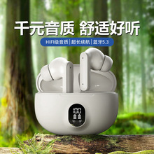 �羳�¿�895B�����������Դ�����������TWS���߶������ʽ˽ģ