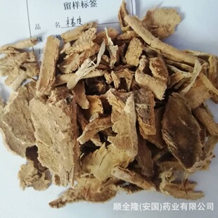 �в�ș��Ƥ�����S�����l���ێ��ϸ��C�|�z�lƱ�����󃞻ݚgӭ����