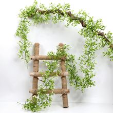 �����b٘��ټٻ��͏d늾���¶�ڳ����ړ����������p�@