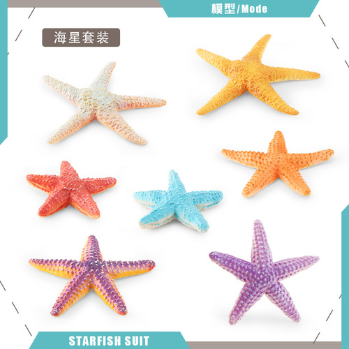 Cross-border simulation marine animal model children's science education echinoderm starfish bottom world decorative ornament