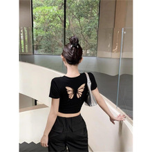 ļOӋúUպTŮСӶw̿С