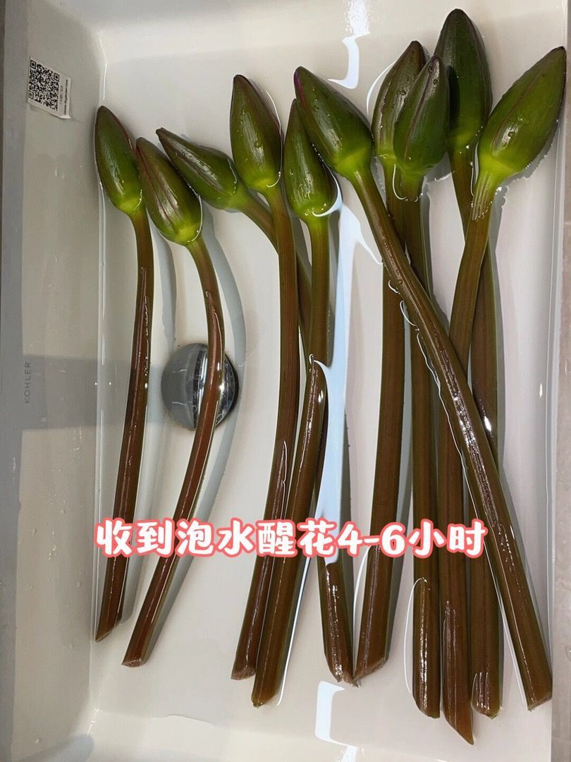 2a24ac16-f554-4560-b6c3-8cf7e1717812.jpe