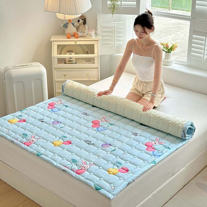 메이신-체리 토끼