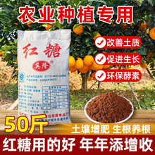 50���r�üt�ǉѸ��T���Nֲ�l�͌��ý��ع���@ֲ��N���~��ʼt��