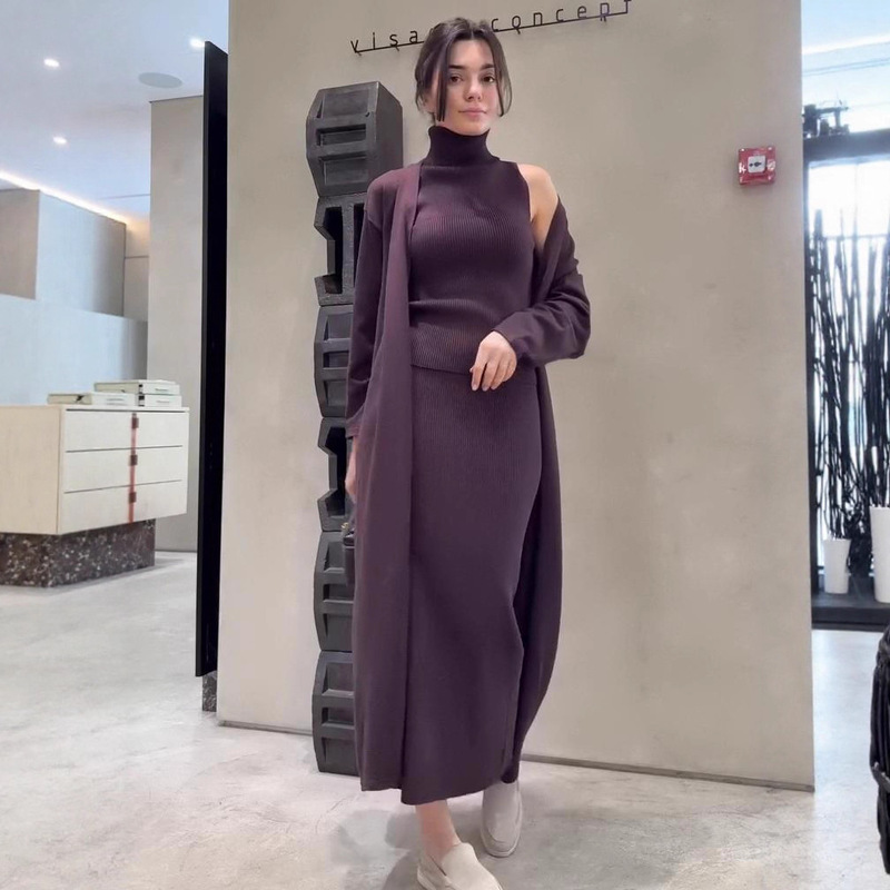 欧美女跨境外贸时尚2025秋新款高领打底针织毛衣长裙包臀长袖外套|undefined