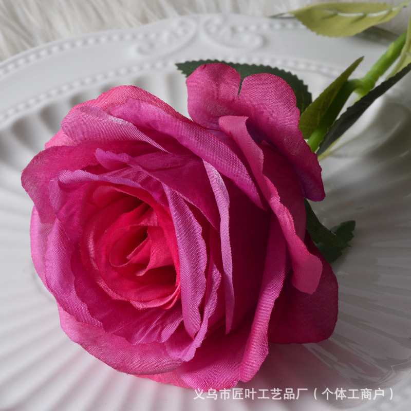 큰 실크 보라색 장미