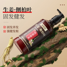 丽泉特生姜王防脱洗发水强韧发根养黑控油防脱固发洗发露草本洗发