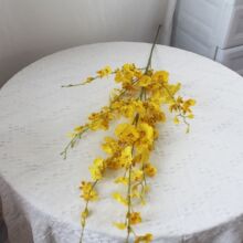 �ߙn8�^�ش�̖�����m���滨������c�bٻ��L֦��̖�Sɫ�����m