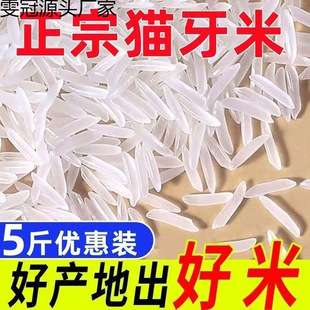 �L������؈������������5��z�������е���i����ճ�´���