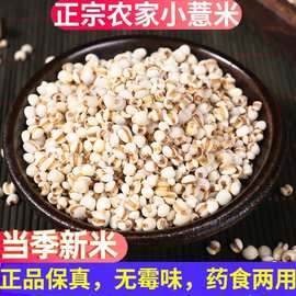 小薏米除湿贵州兴仁农家新鲜生小薏仁米材用新货2025新米