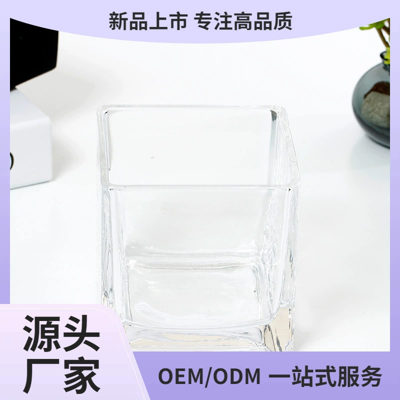 Прямые поставки с фабрики: вазы для суккулентов, оптовые квадратные стеклянные банки, изделия ручной работы, подарки для бонсай, индивидуальные микроландшафты.