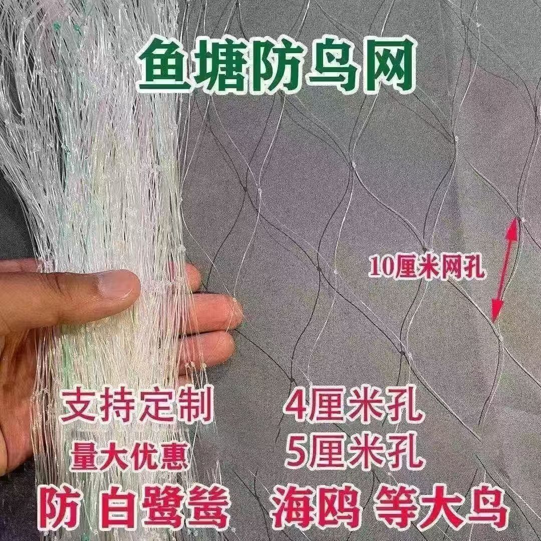 鱼塘尼龙专用防鸟网鱼虾泥鳅青蛙防护网白鹭天网加粗型尼龙网