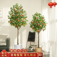 ����Gֲ������Ә��辰���޾Ƶ�䁙����Ҿ�������Ԕ[���b�