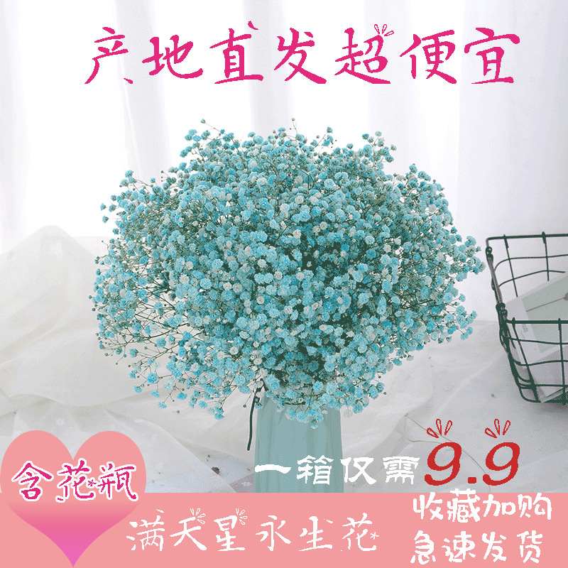 满天星永生干花真花鲜花情人节礼物花材室内轻奢云南批发一件代发|ru