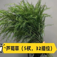 仿真绿植芦荀草（天门冬）工厂直销拱门地排花插花布景家居装扮