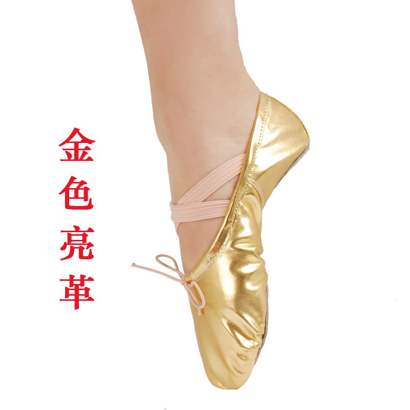 Zapatos de baile dorados, zapatos de entrenamiento de suela suave para niños y mujeres, zapatos de ballet para niñas, garras de gato, actuación de danza folclórica del vientre para adultos
