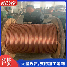 供应铜覆钢绞线 镀铜钢绞线 镀铜钢绞线 铜覆钢镀铜防雷接地引线