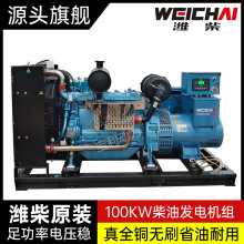 WPG137.5/B9�H��100KW�l늙C�M�tԺ���оƵ��Bֳ����100ǧ��