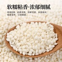 |5AŴrװŴ׽׾ᄰճl