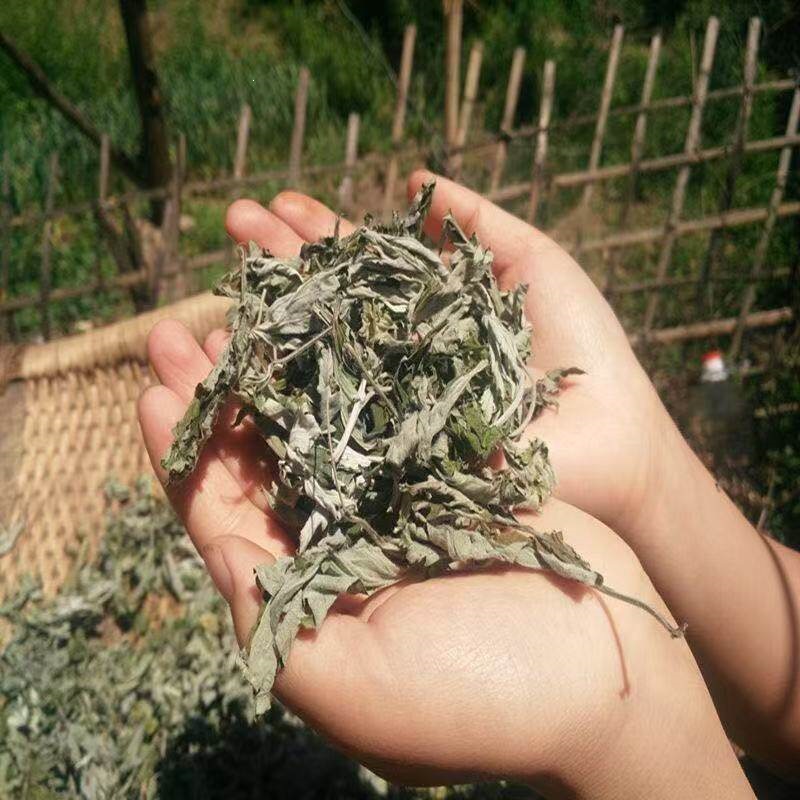 Wild Dried Mugwort Leaves Ai Ye Foot Soak Pack Traditional Chinese Herbal Bath quality and texture