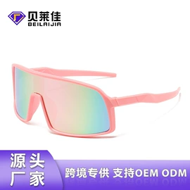 框架眼镜;太阳镜;光学眼镜