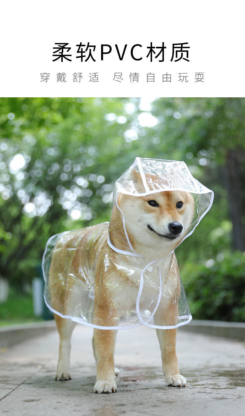 O1CN01k6Ndzo1X1l2l0aWsE_!!2688