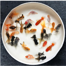 С���~���^�p�~��ˮ�ͻ���B�~��ˮ�t���\�����~С���~�ݽ��~���~