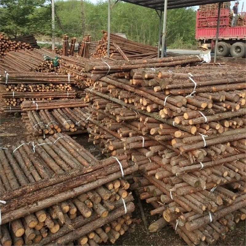 安徽合肥杉木桩河道护坡木桩工程防汛打桩围栏园林绿化树木支撑杆