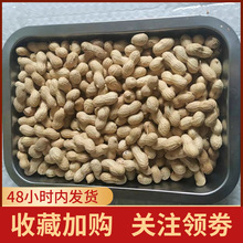 �������㾮�}���������ו�Ɏ�����ʳ��؛��؛��؛��ʳ���eʳƷ