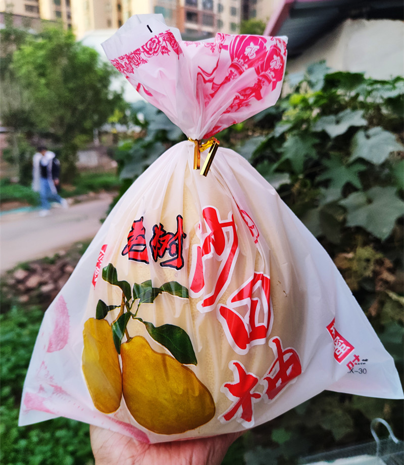 [No contiene pomelo] Embalaje tres carne roja pomelo Majia pomelo fresco azúcar cristalino Shatian pomelo Meizhou Golden Pomelo bolsa de regalo