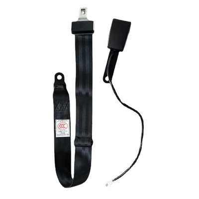 with Wire, Car seat belt