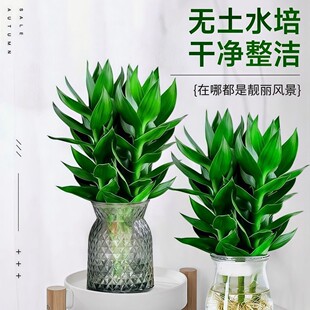 �ļ����\��լˮ���^�����Fˮ��͏d�҃��k�����ԾGֲ����ȩ�E��