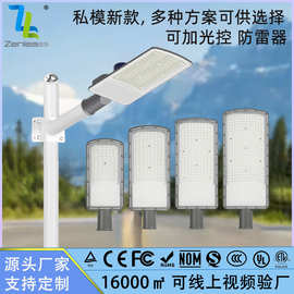 LED工程路灯乡村道路照明路灯头新农村庭院灯户外广场防水