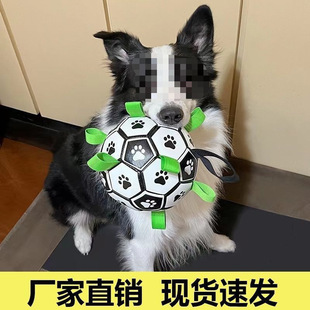 ��������x����߹�����ҧ�␞�»�ȮС����Ȯ���ӌ�������l���l