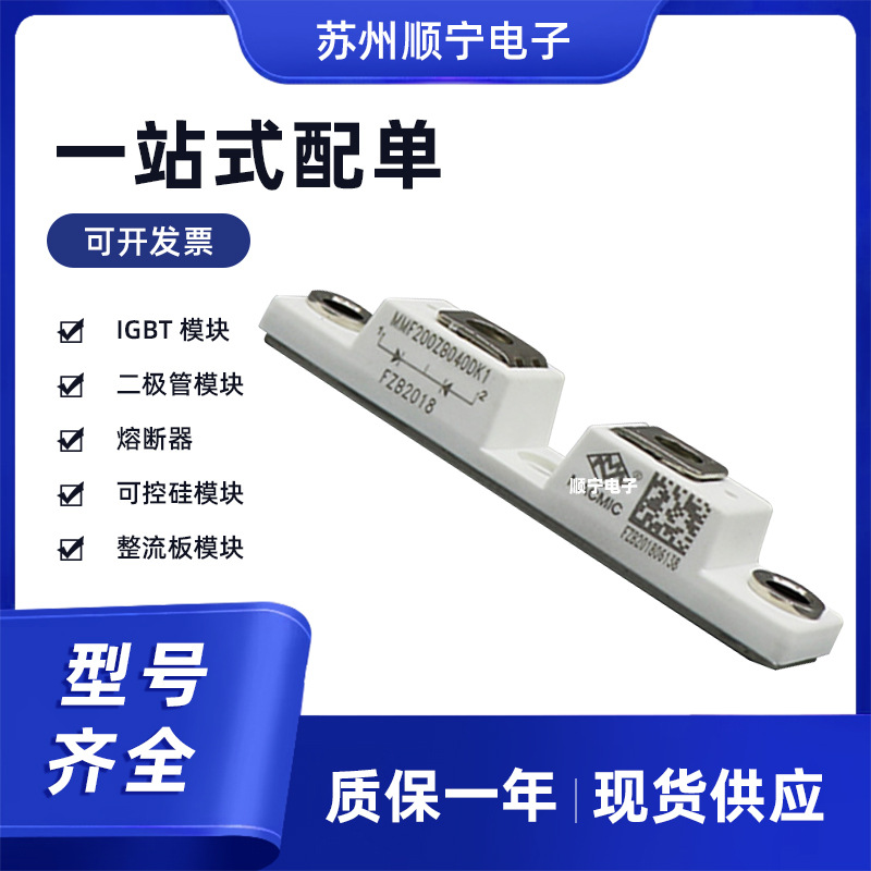 MMF300ZB060DK1快恢复二极管模块 电子元器件  型号齐全 现货速发