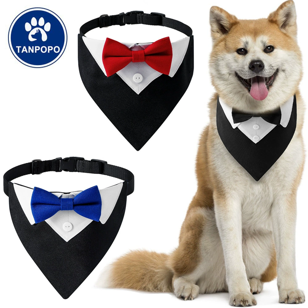 Высокое качество моды новые товары для домашних животных трансграничный кошачий костюм бант треугольное полотенце слот полотенце высокого класса аксессуары