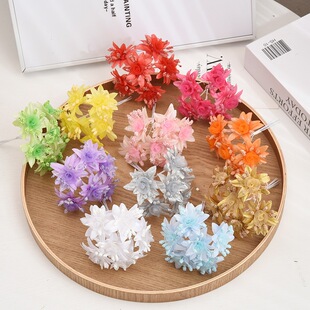 ���潁������ ɳ������Y���l��b��滨���y��DIYСõ�廨���l