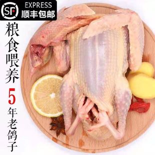 ���r�r��ɢ�B�������������s�Zι�B���w�F��������I�B�������Ҝ�