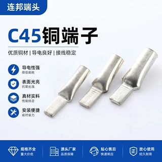 厂家直销 C45插针裸端头 铜接线端子C45用铜端子鸭嘴接线鼻铜鼻子