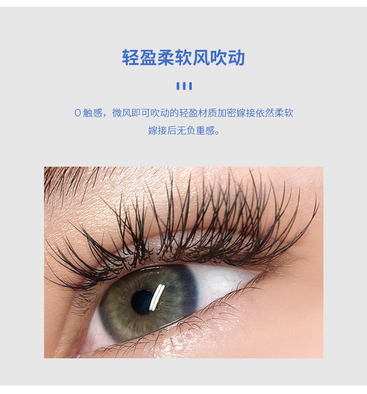 单根扁毛双尖扁毛 单根扁毛双尖扁毛