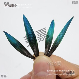 ��ȸë�c���c����ë�ϝ{��ȸ�������PƬDIY�ֹ��Ʒ�b�����̫��